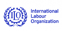 Cuadrada - ILO